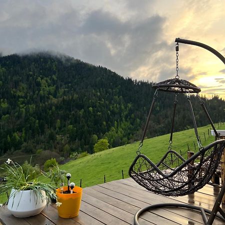 Mitarbi Silence Villa Borjomi Dış mekan fotoğraf