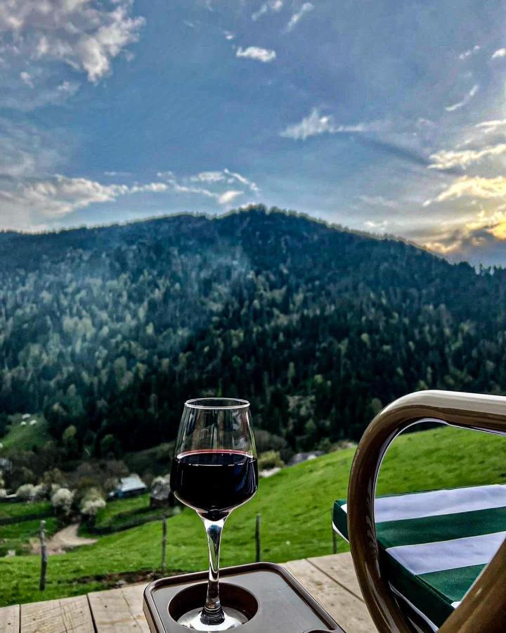 Mitarbi Silence Villa Borjomi Dış mekan fotoğraf