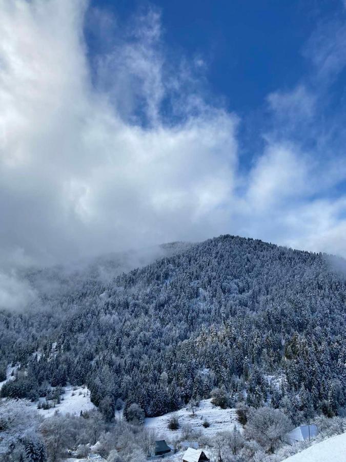 Mitarbi Silence Villa Borjomi Dış mekan fotoğraf