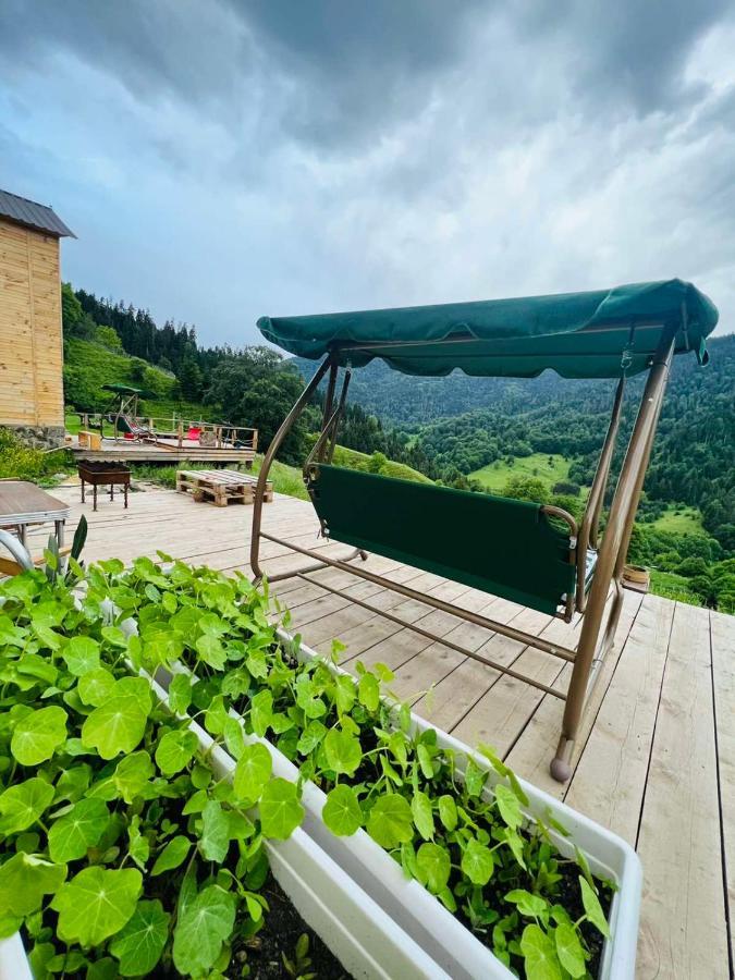 Mitarbi Silence Villa Borjomi Dış mekan fotoğraf