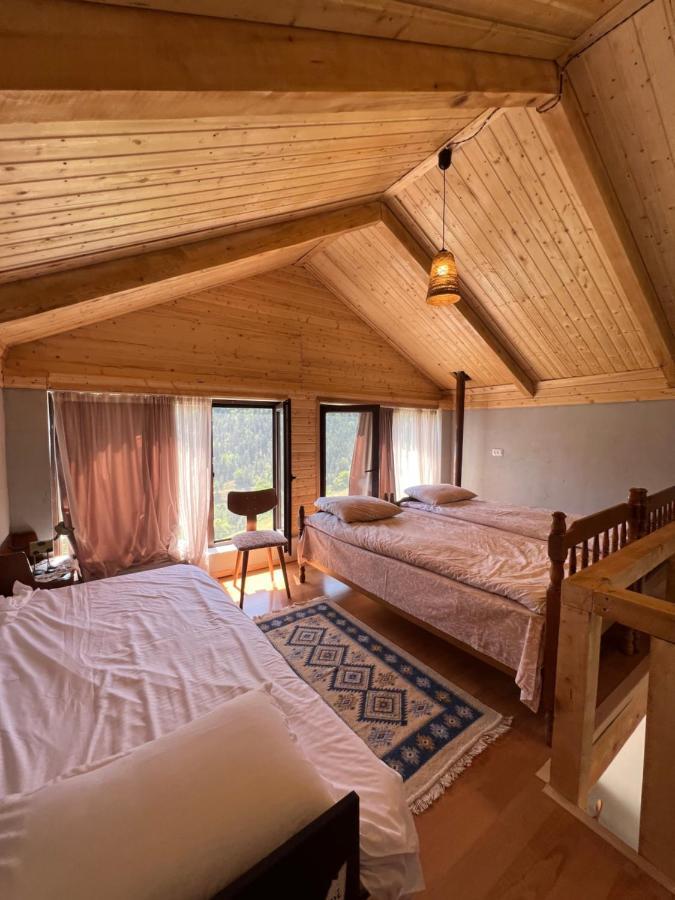 Mitarbi Silence Villa Borjomi Dış mekan fotoğraf
