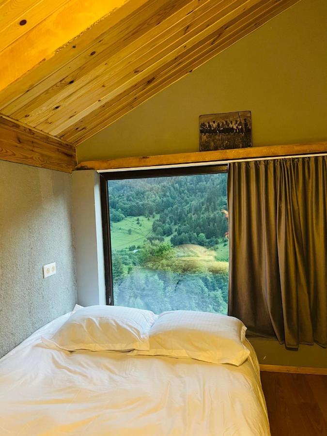 Mitarbi Silence Villa Borjomi Dış mekan fotoğraf
