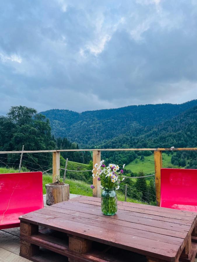 Mitarbi Silence Villa Borjomi Dış mekan fotoğraf