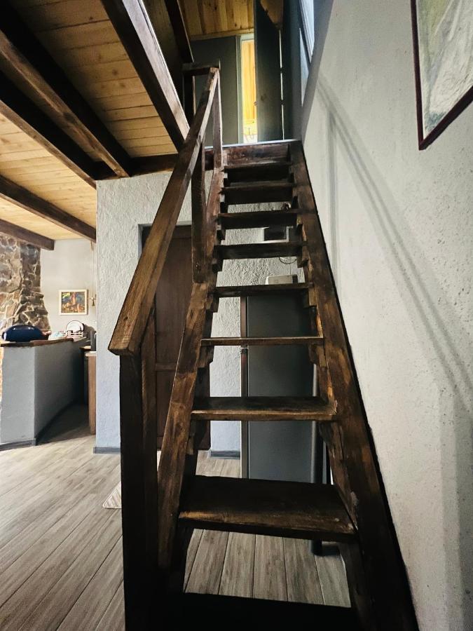 Mitarbi Silence Villa Borjomi Dış mekan fotoğraf