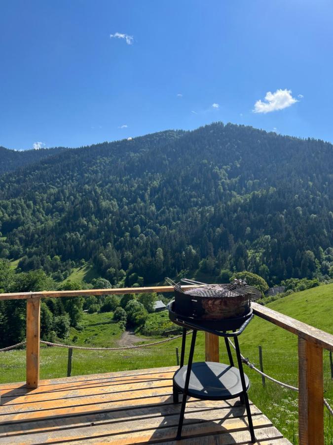 Mitarbi Silence Villa Borjomi Dış mekan fotoğraf