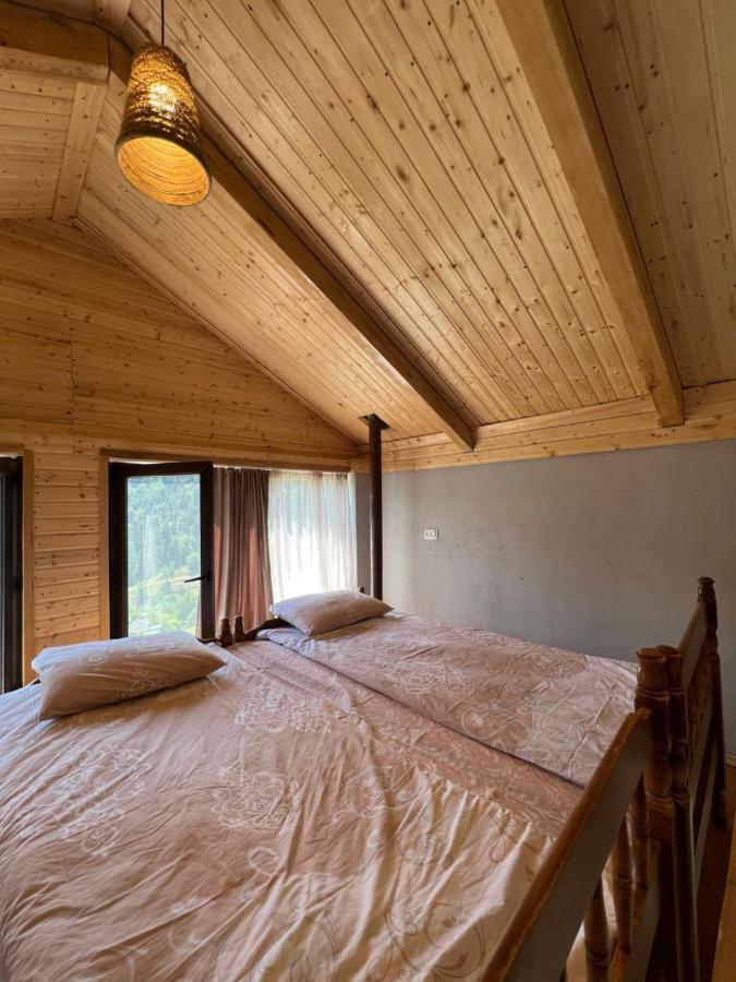 Mitarbi Silence Villa Borjomi Dış mekan fotoğraf