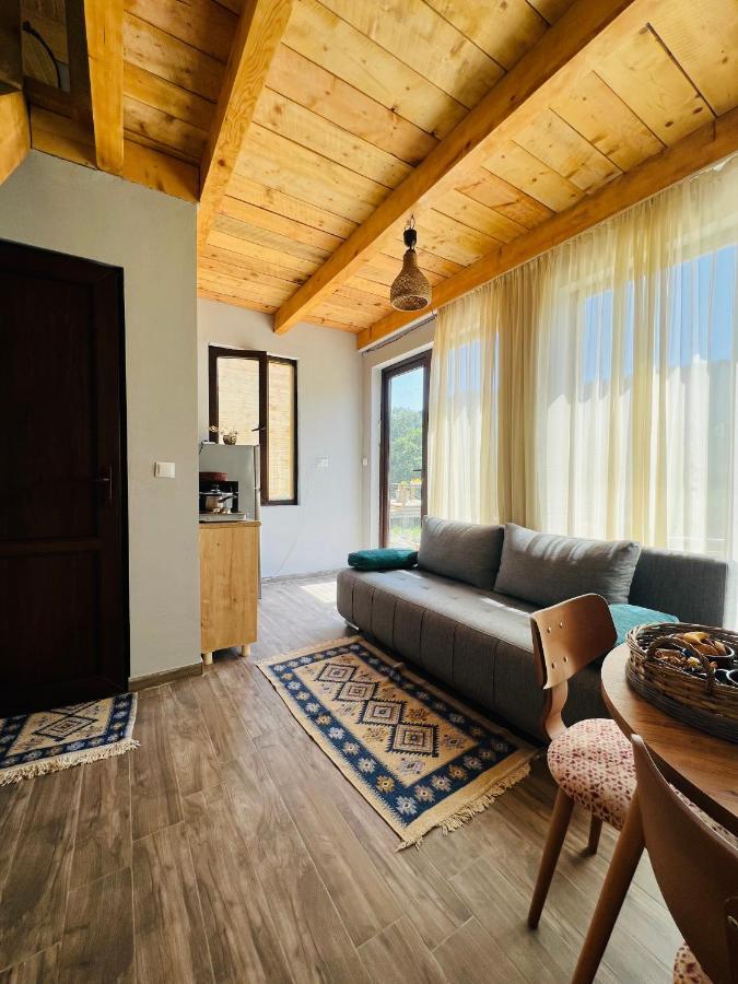 Mitarbi Silence Villa Borjomi Dış mekan fotoğraf
