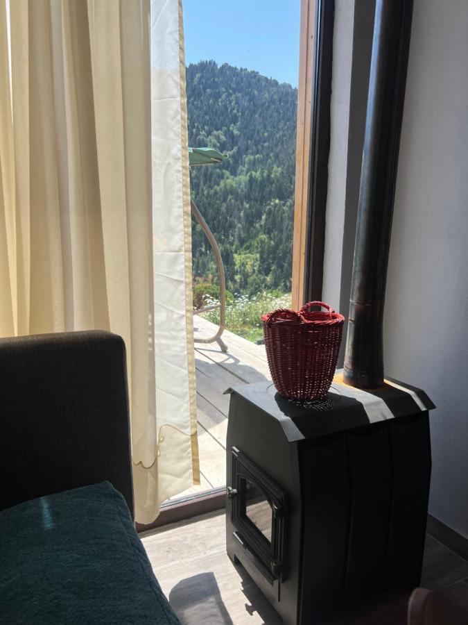 Mitarbi Silence Villa Borjomi Dış mekan fotoğraf