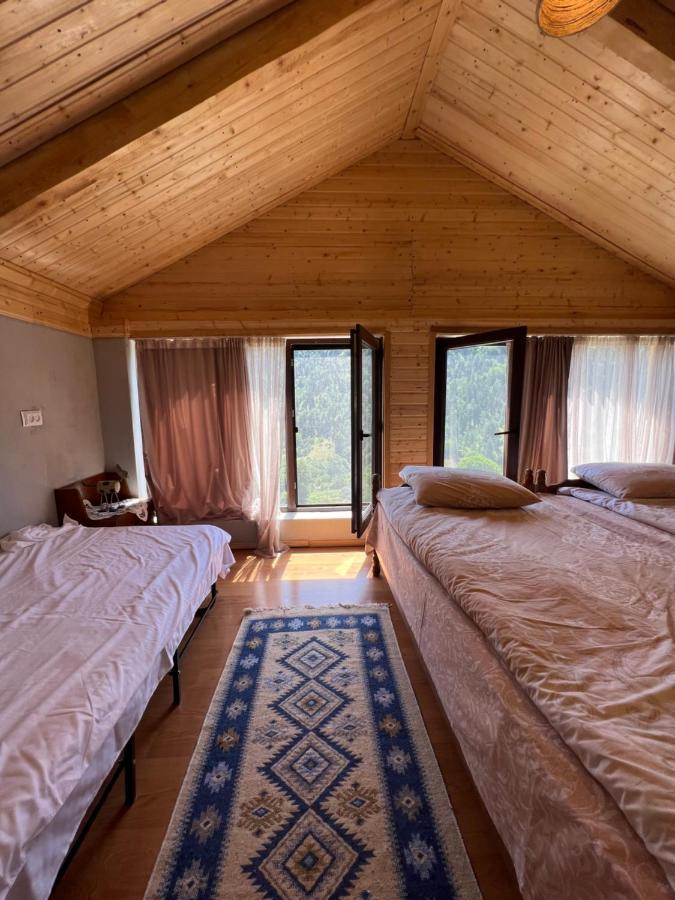 Mitarbi Silence Villa Borjomi Dış mekan fotoğraf