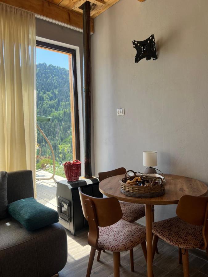 Mitarbi Silence Villa Borjomi Dış mekan fotoğraf
