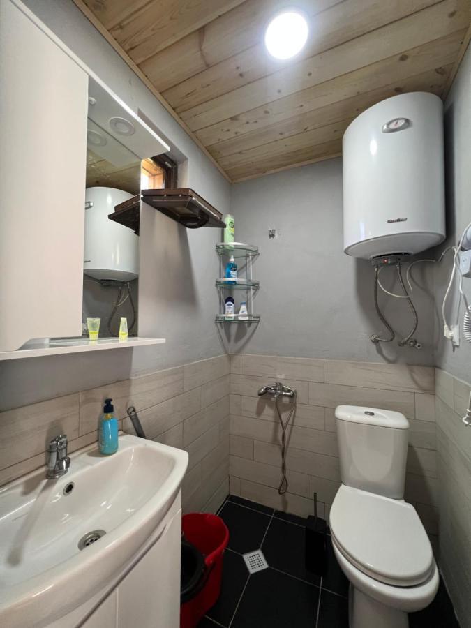 Mitarbi Silence Villa Borjomi Dış mekan fotoğraf