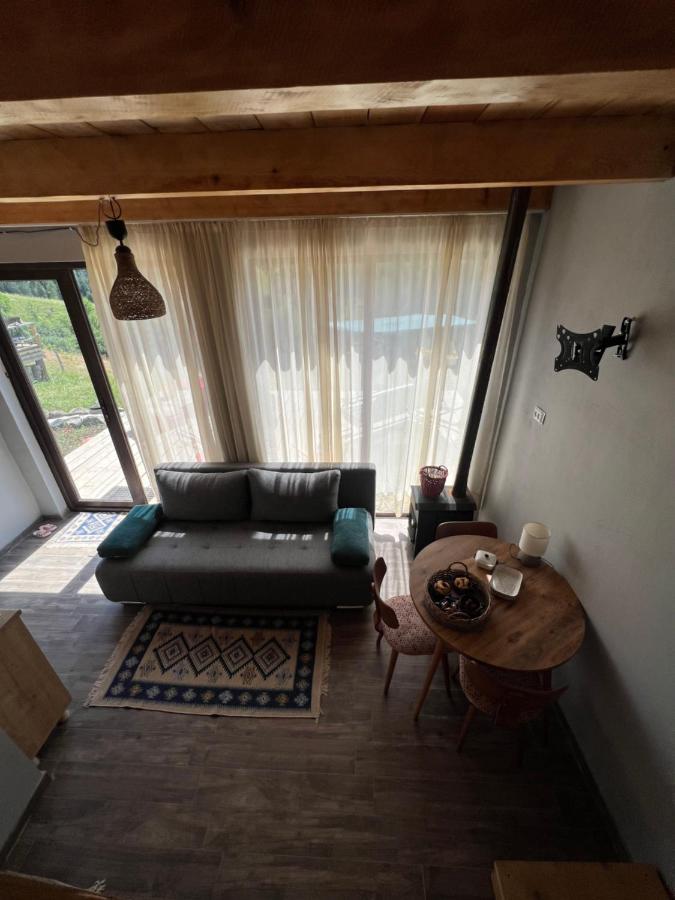 Mitarbi Silence Villa Borjomi Dış mekan fotoğraf