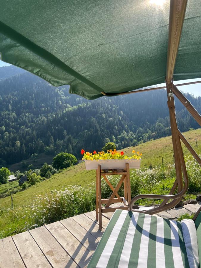 Mitarbi Silence Villa Borjomi Dış mekan fotoğraf