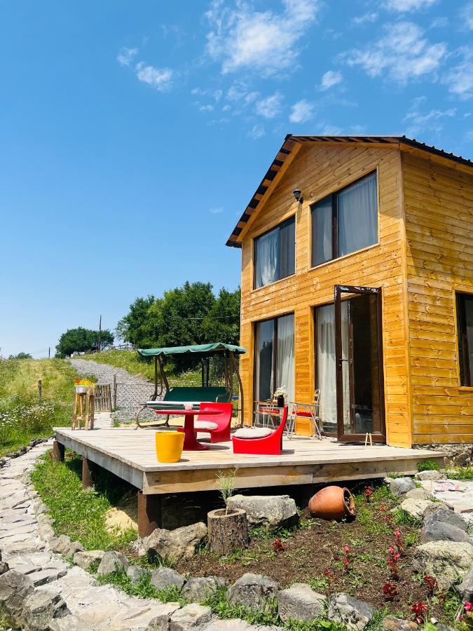 Mitarbi Silence Villa Borjomi Dış mekan fotoğraf