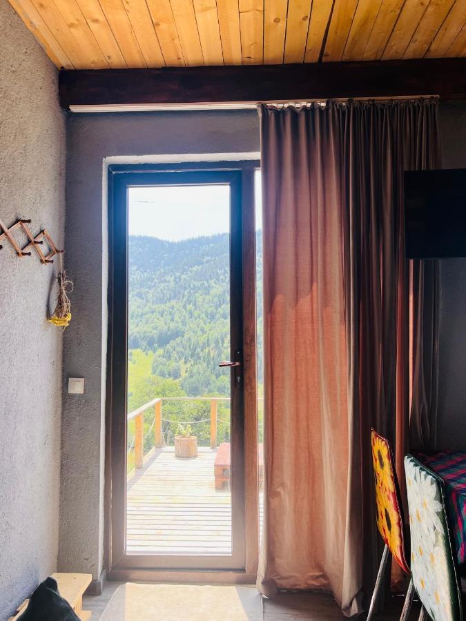 Mitarbi Silence Villa Borjomi Dış mekan fotoğraf