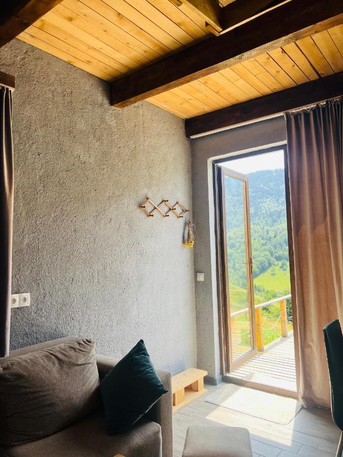 Mitarbi Silence Villa Borjomi Dış mekan fotoğraf