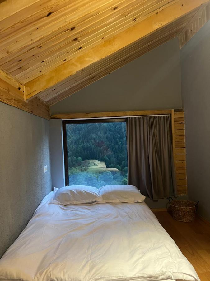 Mitarbi Silence Villa Borjomi Dış mekan fotoğraf