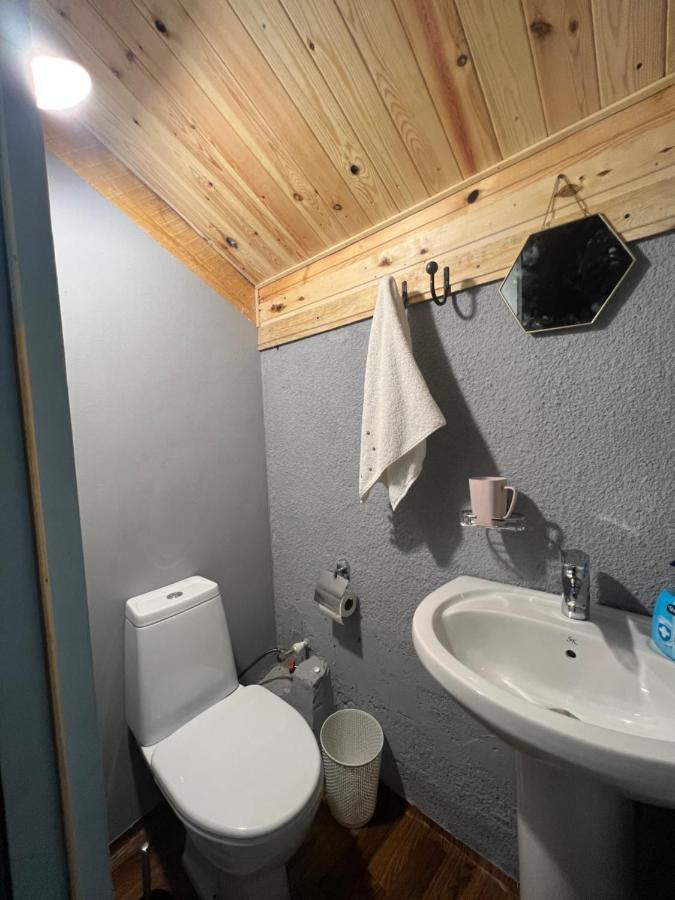 Mitarbi Silence Villa Borjomi Dış mekan fotoğraf
