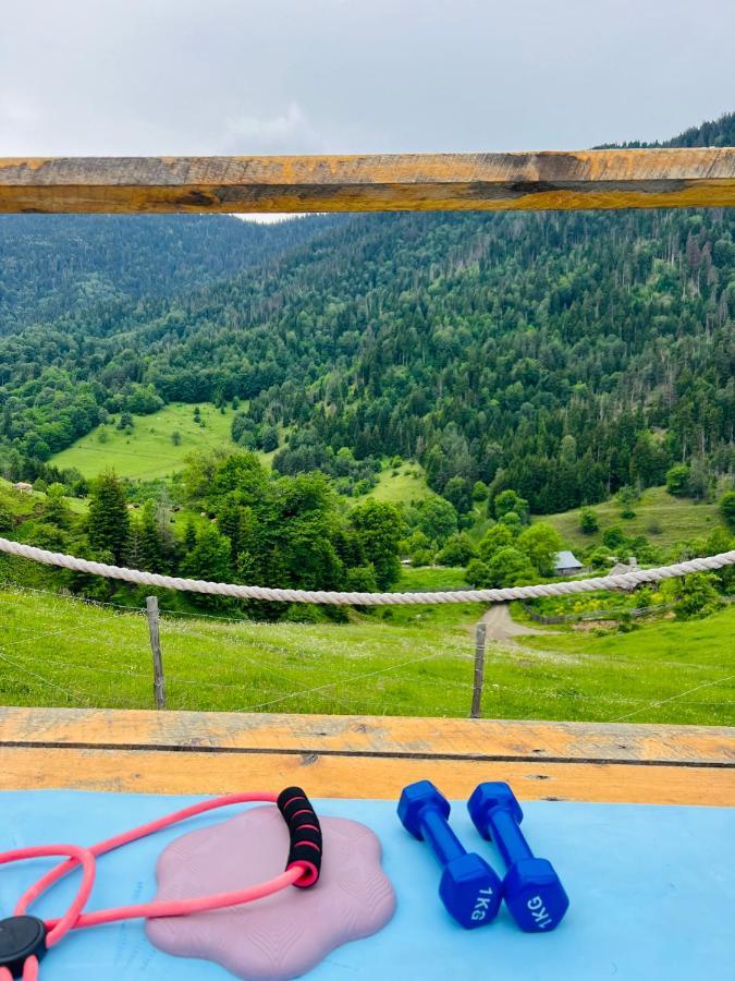 Mitarbi Silence Villa Borjomi Dış mekan fotoğraf