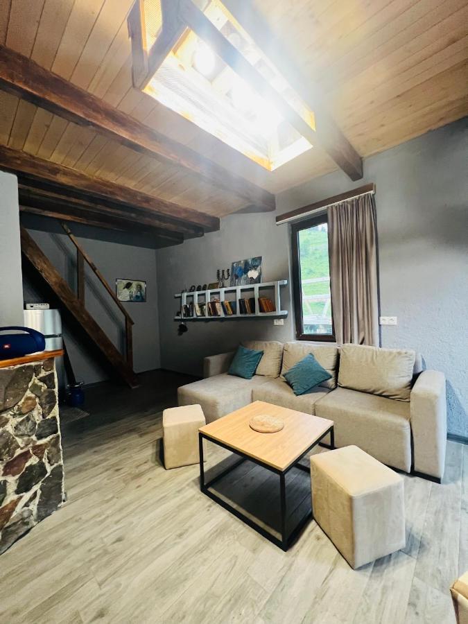 Mitarbi Silence Villa Borjomi Dış mekan fotoğraf