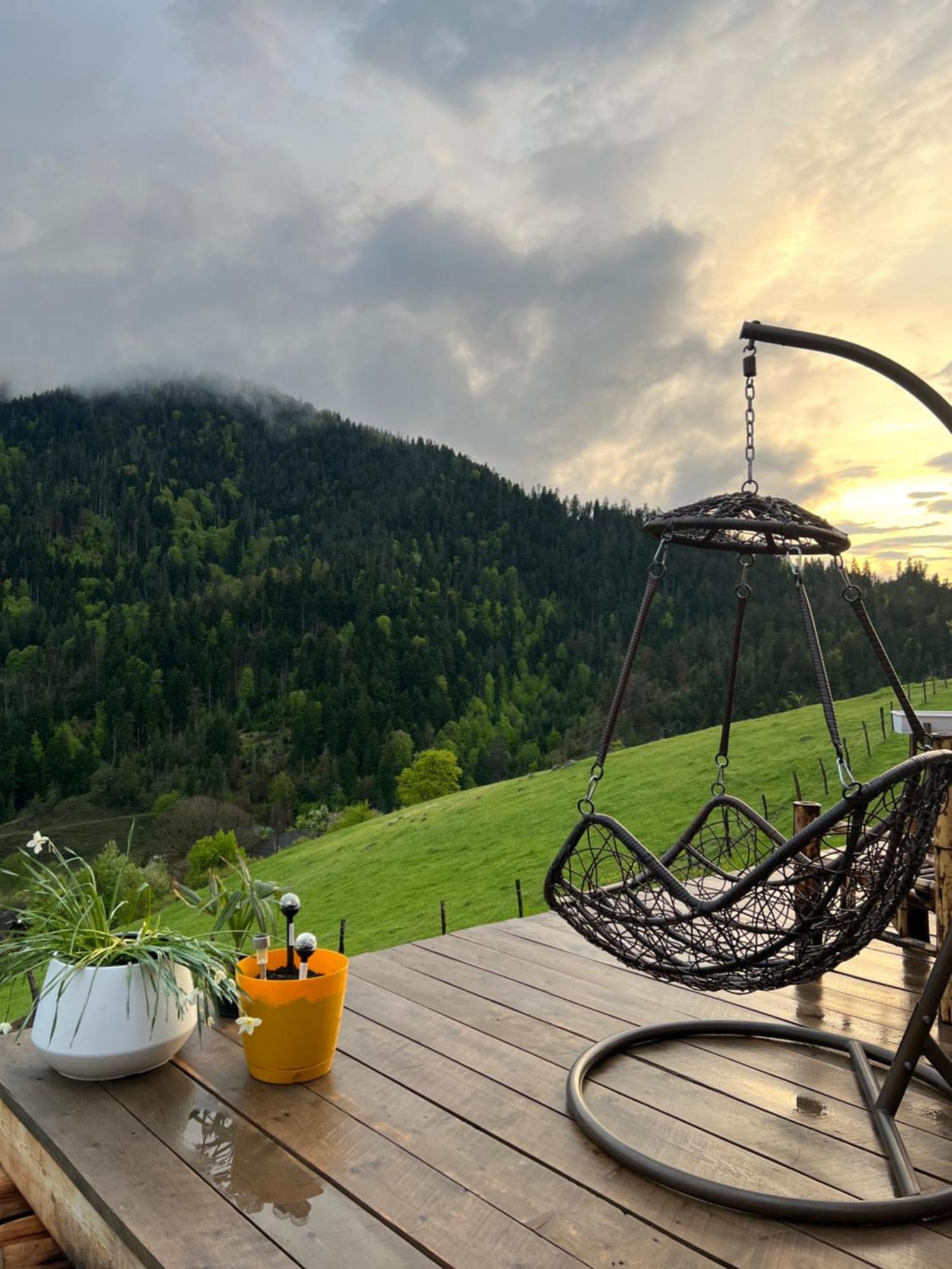 Mitarbi Silence Villa Borjomi Dış mekan fotoğraf