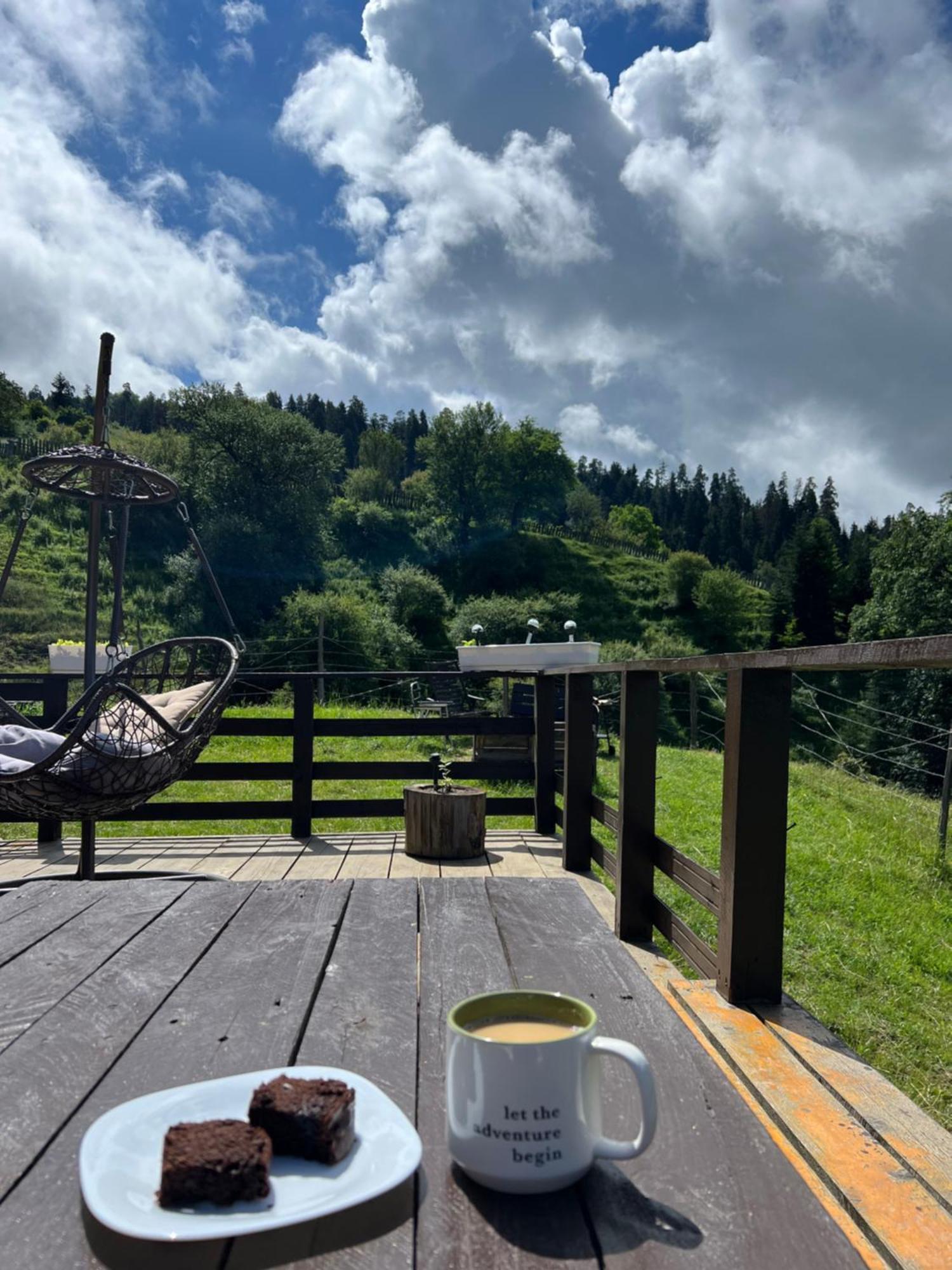Mitarbi Silence Villa Borjomi Dış mekan fotoğraf